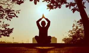 A person on a bench under a tree with their palms together over their head in Meditation.
