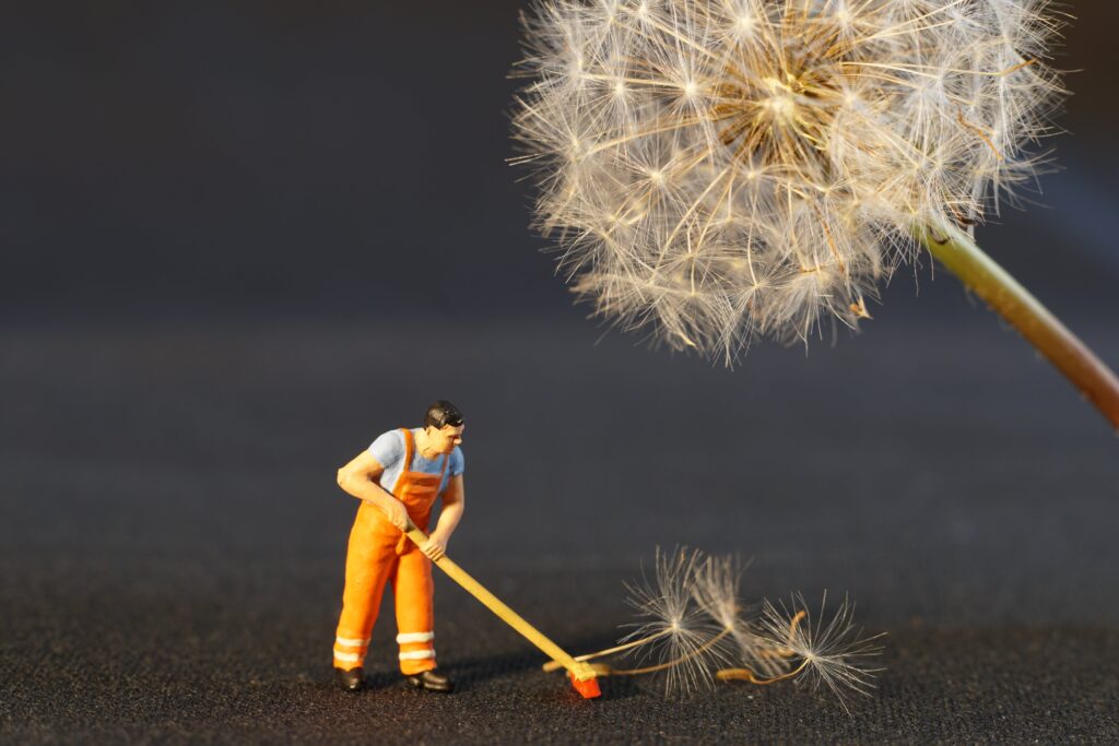 A plastic toy figure in a construction uniform with a broom and a Dandeloin above. A micro moment in life 
